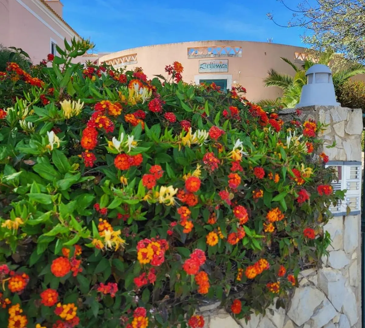 Sunny Haven Alvor Lägenhet